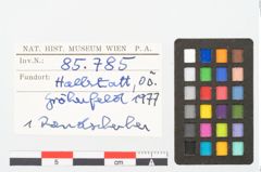 Foto von Keramikgefäß (NHMW-PRAE-085785)
